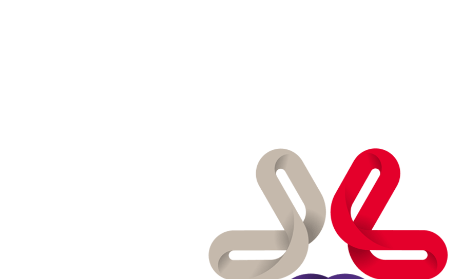 Resolution of Non-performing loans