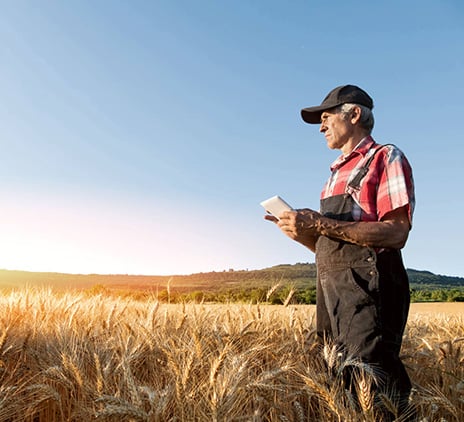 Vietnam’s under invested Agricultural Sector