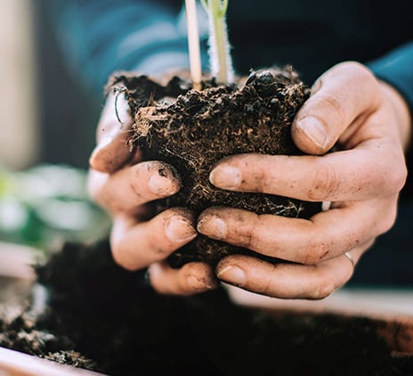 The Improving Business Climate