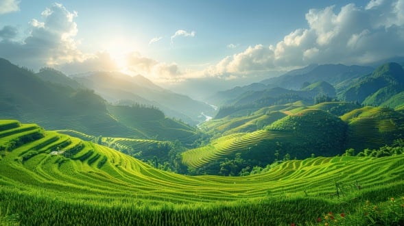 새로운 법률 문서 및 주요 세금 정책 업데이트