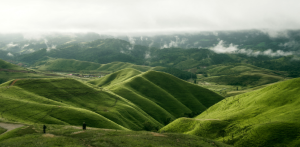 Vietnam Economic News Insight & Recap November