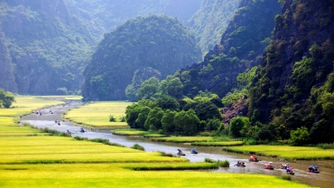 Update on regulations of issuance of e-identification accounts for foreigners in Vietnam